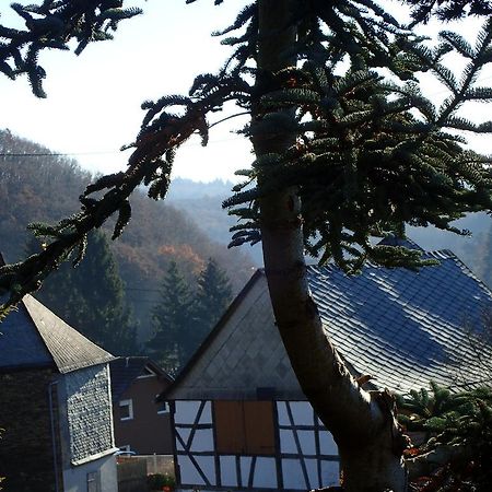 vakantiehuis Hunsrück Leisel Buitenkant foto