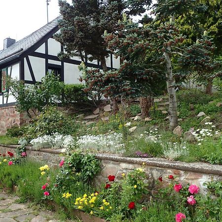 vakantiehuis Hunsrück Leisel Buitenkant foto