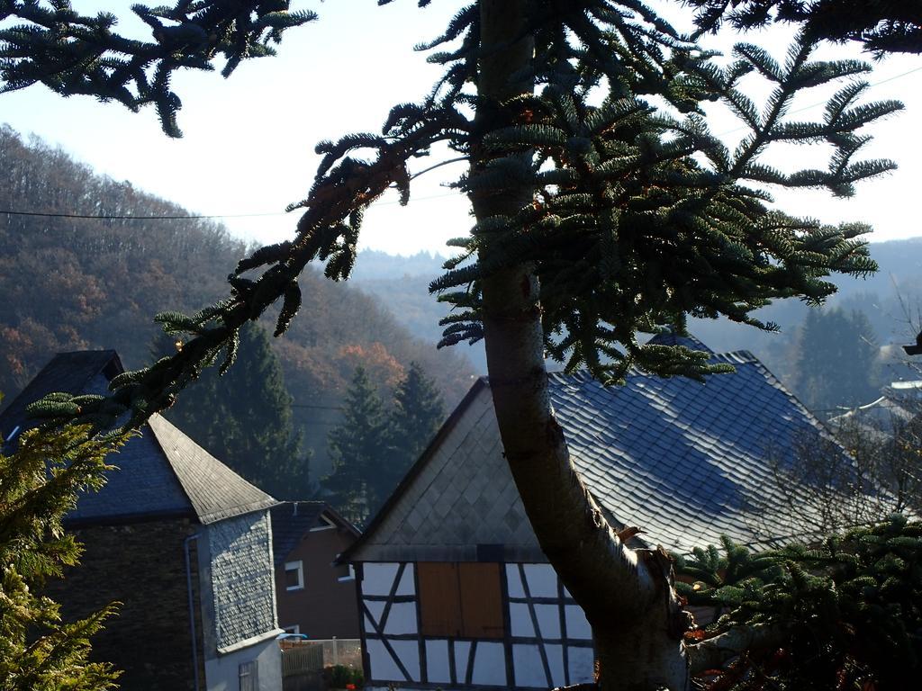 vakantiehuis Hunsrück Leisel Buitenkant foto
