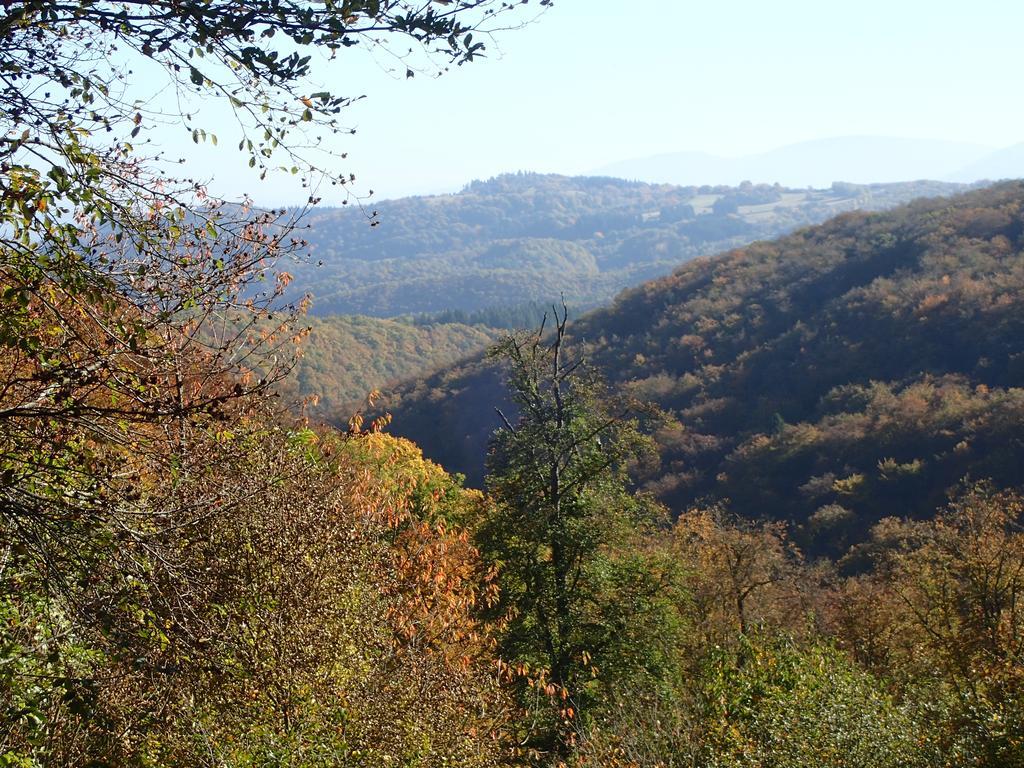 vakantiehuis Hunsrück Leisel Buitenkant foto