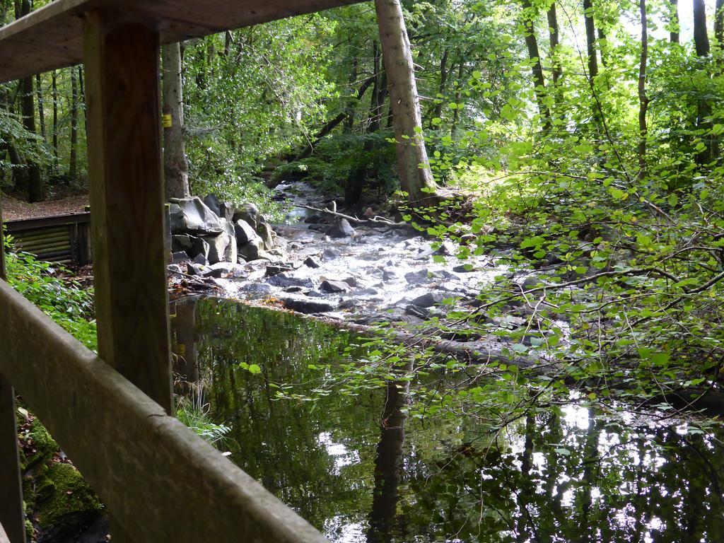 vakantiehuis Hunsrück Leisel Buitenkant foto