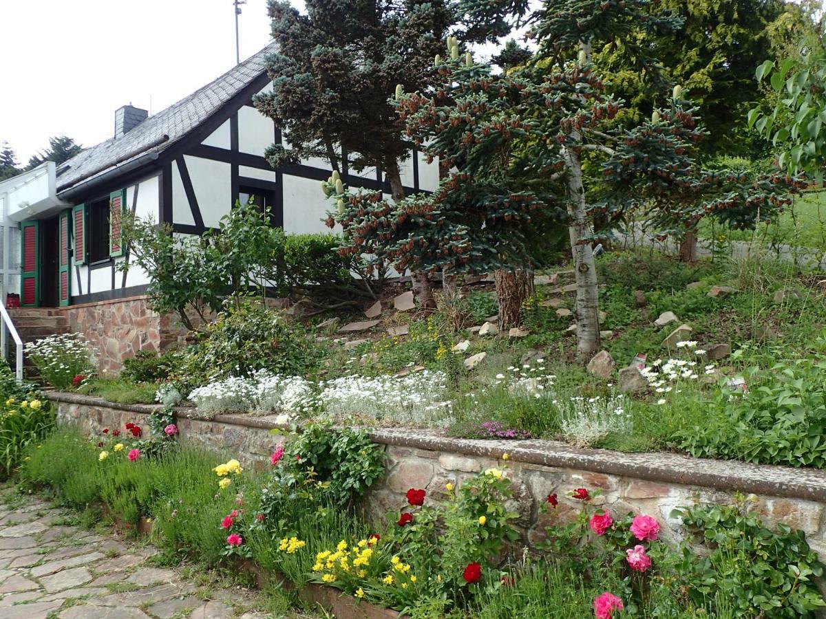 vakantiehuis Hunsrück Leisel Buitenkant foto